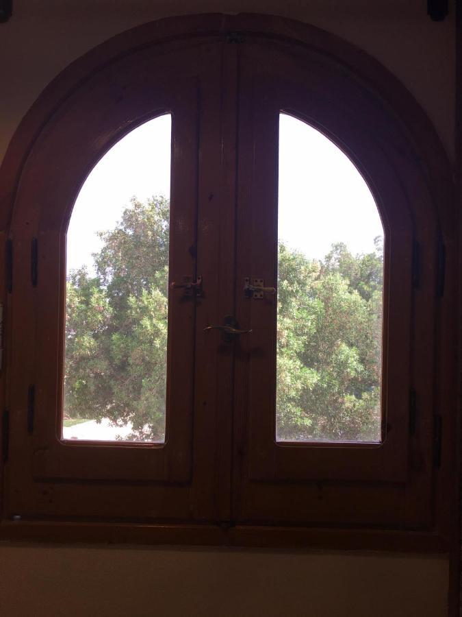 Dahab Home Bed&Breakfast Exterior photo